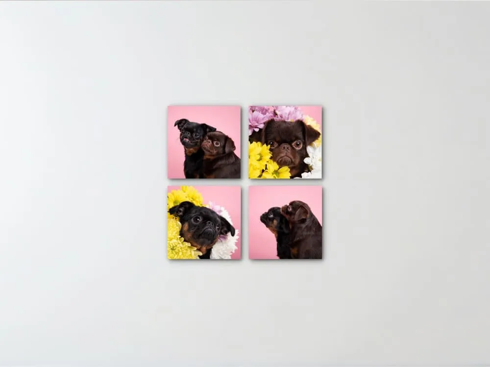 4 piece wall art canvas
