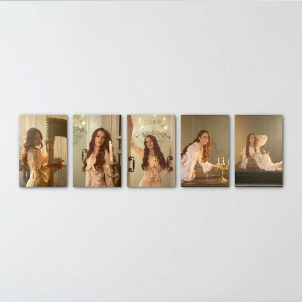 5 panel canvas wall art