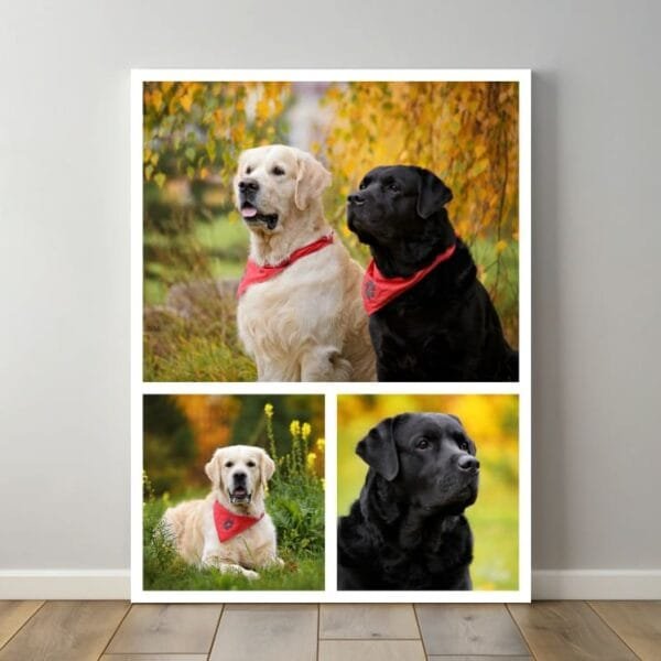 Canvas photo collage print