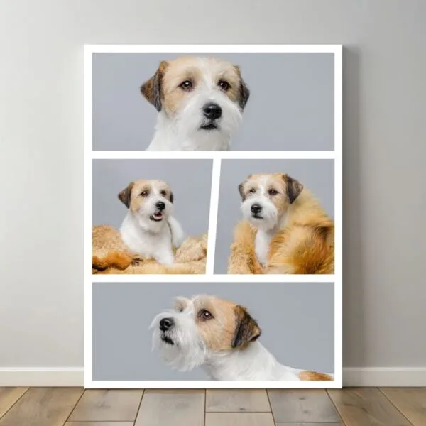 Custom collage wall art