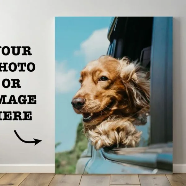 Canvas Prints Austin, TX