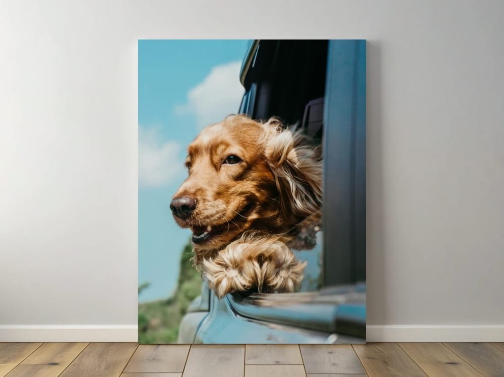 Canvas Prints Austin, Texas